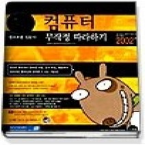 [개똥이네][중고-중] 컴퓨터 무작정 따라하기 - 왕초보용 입문서 (2003년판/ CD:1)