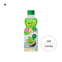 해태 코코팜 포도 300ml 24