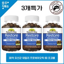 네이쳐스웨이 호주 명품 유산균 데일리 프로바이오틱 60 초코볼 3병특가, 3병