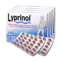 [파마링크] 리프리놀 초록입홍합오일 200캡슐, 1팩, 200ml