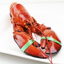 골든킹 캐나다 자숙 랍스터 바닷가재, 냉동자숙랍스터(350~400g), 1개