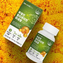 비문증 날파리증 에 좋은 영양제 녹내장 눈건강 시력개선 루테인 멀티비타민, 9개월분