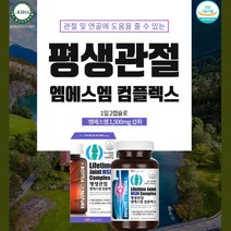 40대초반 엄마 평생 관절 엠에스엠 콤플렉스 1500mg msm msn 연골 건강 도움 줄 수 있는 남자선물 50대초반 50대 장년 아내 30대중반 여자친구선물 남성 40대후반
