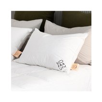 [소프라움] 사르르 헝가리30 구스다운 베개솜 750g (50x70), 화이트
