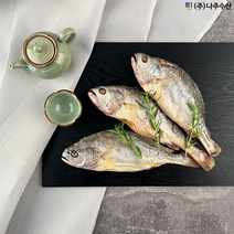 영광법성포 찜 부세보리굴비 50미(특대)170g이상 / 내장제거 / 진공포장 / 나주수산