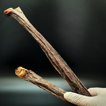 도기플라워 한우 소우신 한우말이 30cm 1p 카우스틱 소우신 오래먹는 이갈이 소형견 중형견 대형견 강아지 수제개껌