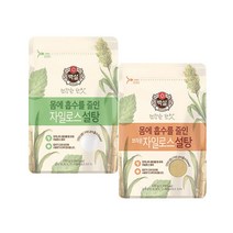 백설 (상온)백설 하얀자일로스설탕 +브라운 자일로스설탕, 500g, 1세트