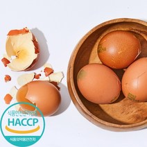 HACCP 인증 구운계란 훈제란 맥반석 구운란, 중란 / 120구 + 소금 4봉