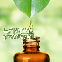 [버블빈]녹차씨오일(정제)Greentea Seed Oil, 100ml