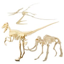 생물 체험학습 입체공룡 조립용 뼈조각 다이노소어 공룡덕후 방학선물 집콕, 매머드