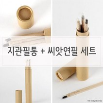 씨앗연필 지관필통 n 싹이나는 세트, 씨앗선택/해바라기