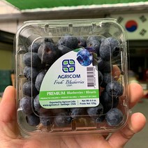 과일특공대 고당도 생 블루베리, 칠레산-750g내외(125g 6팩)