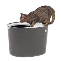 IRIS USA 고양이 화장실 다크 그레이 & 화이트 L, Round Top Entry_Gray, Gray