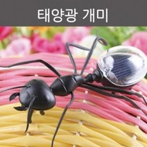 태양광 곤충로봇 진동 개미 초등과학 장난감 돌봄 학습 실험 유치원 관찰 학생 완구 아카테미 어린이