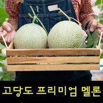 영화농산 프리미엄 멜론 16kg 곡성멜론 멜론가격, 상품선택