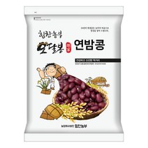 특품 수입 밤콩 연밤콩 울타리콩 양대, 1개, 3kg