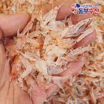 연안부두 김장새우 동백하 1kg 2kg 3kg 골라담기 김장용생새우, [2022가을]김장용 생새우 (동백하) 2kg
