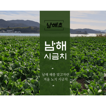 남해 시금치 1kg 3kg 해풍맞고 자란 겨울 노지 시금치 남해군 산지 직송