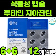 지아잔틴 제아잔틴 ZEAXANTHIN 뉴테인 LUTEIN 루테린 마리골드 금잔화 메리골드 꽃 빌베리 추출물 비타민 A E 식물성 캡슐 부모님 눈 안구 건강 노안 노화 영양제 추천, 12박스(12개월분)