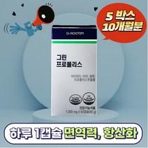 닥터루템 그린프로폴리스 60g 사은품증정, 5개, 60캡슐