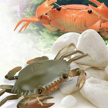 3살 아기 움직이는 꽃게 장난감 자동차 신나는놀이 7세 남아선물 아들선물 생일선물