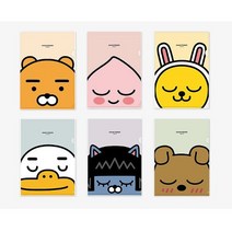 (디머스) 카카오프렌즈 L자 홀더 ㄱ자 화일 낱장 화일 10장입, 어피치