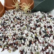 오색사 오색자갈 테라리움 바닥재, 500g, 3~5mm