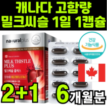 캐나다 케나다 SILYMARIN MILKTHISTLE EXTRACT 밀크시술 실리마린 밀크씨슬 익스트랙트 추출물 고함량 최대함량 건강 기능 보조 식품 보충제 보조제 추천, 3박스(6개월분)
