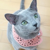 바보사랑 러블리 펫 케이프.멜로우, 1개, 1.코랄