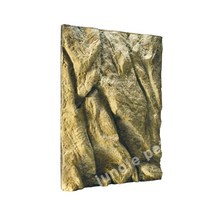 엑소테라 백스크린 45x60cm