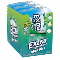 Extra 엑스트라 민트믹스 껌 40개입 6팩, 6개