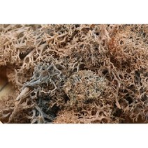 인조잔디 카페 테라스 롤 옥상 20g 인공 식물 영원한 생명 이끼정원 홈 인테리어 벽 꽃 재료 미니 정원 마이크로 조경 액세서리, 40g, brown