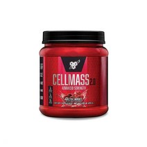 BSN 셀메스 2.0 495g 25서빙 아틱베리맛