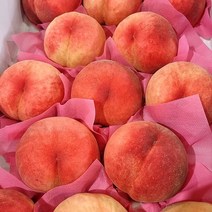 산지직송 고당도 복숭아 황도 백도 4kg