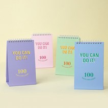 데이즈_플래너_챌린지_100 64FC, 옵션_민트