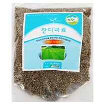 마이찰리_Mychale마켓_정원 묘지 잔디비료 잔디전용 인산칼슘 잔듸 비료 잔디키우기 잔듸가꾸기 잔디가꾸기 질소비료 잔디용비료_마이찰리_Mychale