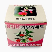 텃밭가꾸기 봉선화 키우기세트 봉숭아 꽃 심기 베란다 테라스 텃밭 가드닝 DIY 수확 재배 아이들 학습