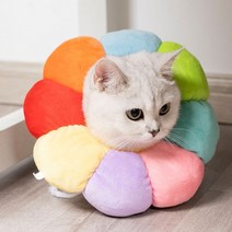 루나글램 강아지 고양이 쿠션 넥카라 반려동물, L, 레인보우