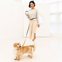 스탠다드펫 강아지 리드줄 핸즈프리 충격방지 탄성기능 벨트, 목줄 L ( 25mm )