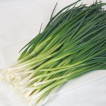 서산 황토밭 손질 쪽파 1kg / 당일 수확하고 손질해서 보내는 서해안 깐쪽파