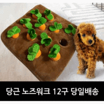 빈하우스 반려동물 강아지 당근 노즈워크 장난감