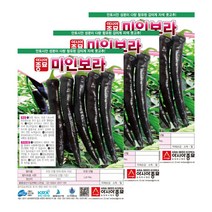 고추씨앗종자 미인보라 가지고추(10립 x 3)