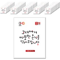 해피데이 온기 포켓용 핫팩 100g, 50개