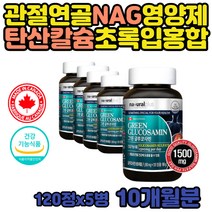 관절 연골 영양제 N 아세틸 글루코사민 손 팔 발 목 등 중년 남성 여성 허리 캐나다 그린 초록 녹색 홍합 NAG 손목 팔목 발목 손가락 마디 상어연골 칼슘 60대 70대 80대