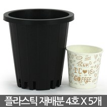 플라스틱 양란 재배분 4호(5개) - 화분 플분 양란 녹차 난화분 란화분 난재배분 양란화분 난재배 녹차재배분 긴화분, 01_청운_재배분(4호) X 5개