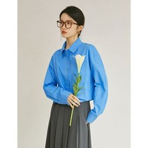 하늘색셔츠 소라색 순수한 코튼 블루 프렌치 여성 디자인 센스 봄 긴팔 루즈한 셔츠