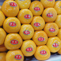 황금열매 감귤 만감류 하우스 제주감귤 카라향 3kg 5kg, 하우스 제주귤 3kg (크기랜덤)