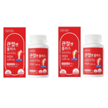 그린스토어 관절엔 플러스MSM 1개월분x2개, 60정, 2개