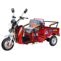 3륜 스쿠터 화물 농사 노인 짐 싣는 농사 번호판 미설치 오토바이, 125 수냉식 엔진 디스크 브레이크