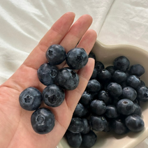 2023년 국산 블루베리 냉동 특대 500g 1kg 친환경 무농약 당도높은 햇블루베리 생블루베리 충북 영동 친환경 프리미엄 품질, 4개